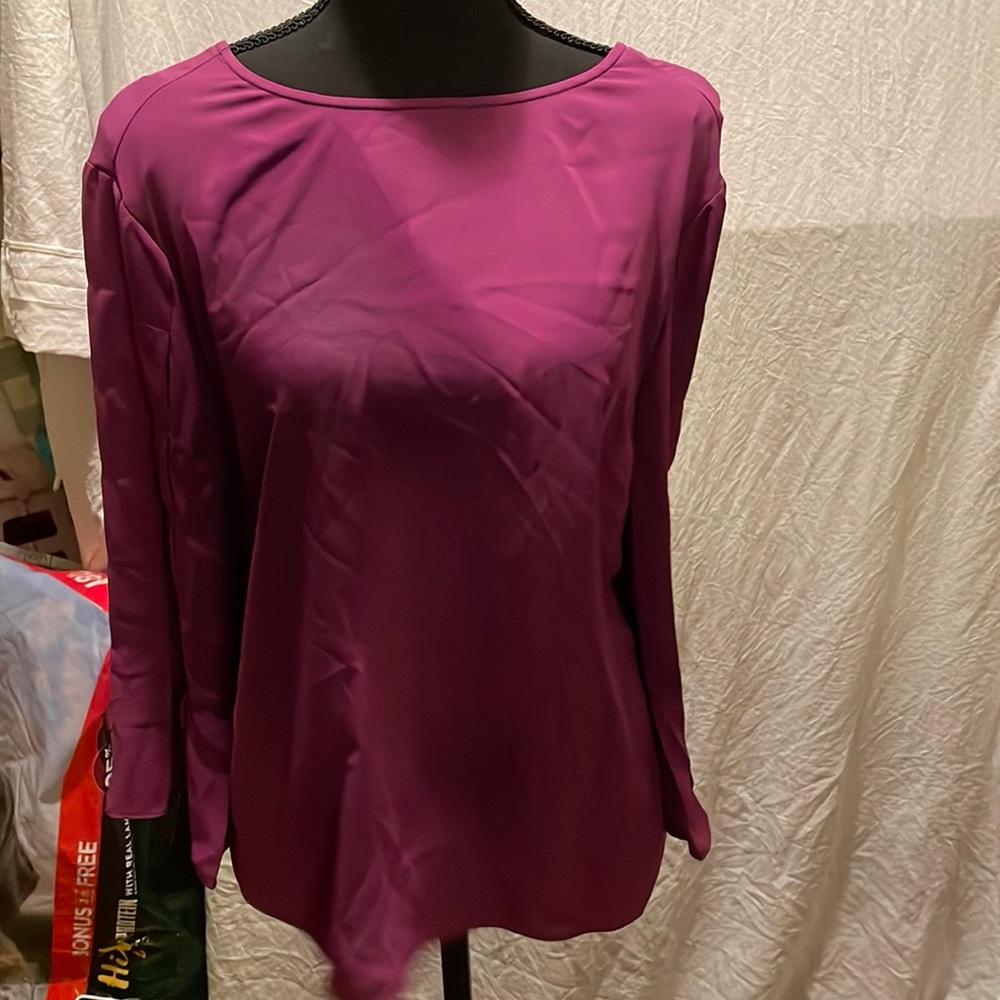 The Limited Purple blouse